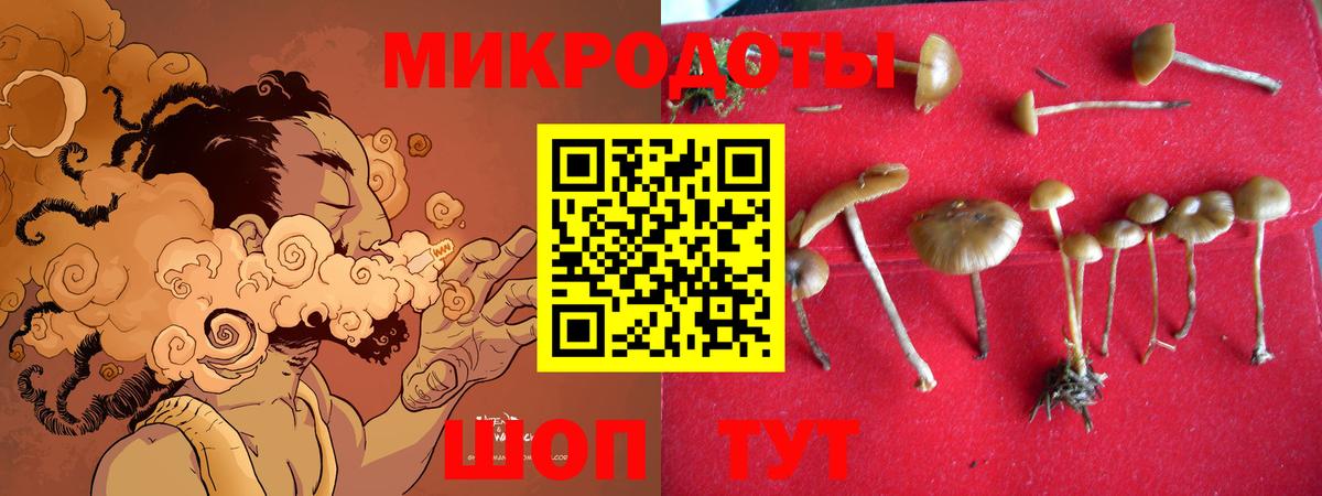 Псилоцибиновые грибы Psilocybe  Вход с VPN  Рассказово  Псилоцибиновые грибы MAGIC MUSHROOMS 